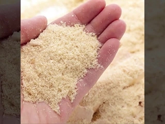 WPCは耐火性壁パネルの工場防止直売および湿気にフルーティングを施した