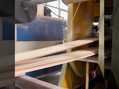 WPCの防止防音の壁パネルの工場直接防水および湿気