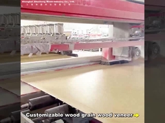 2.44m バンブー 木炭 壁板 モダン 軽量 贅沢 パーソナライズされた 長さ PVC 炭素 水晶 壁板